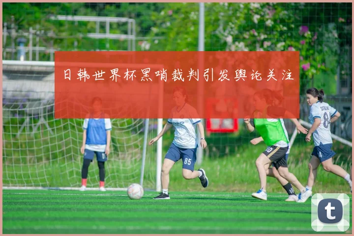 日韩世界杯黑哨裁判引发舆论关注