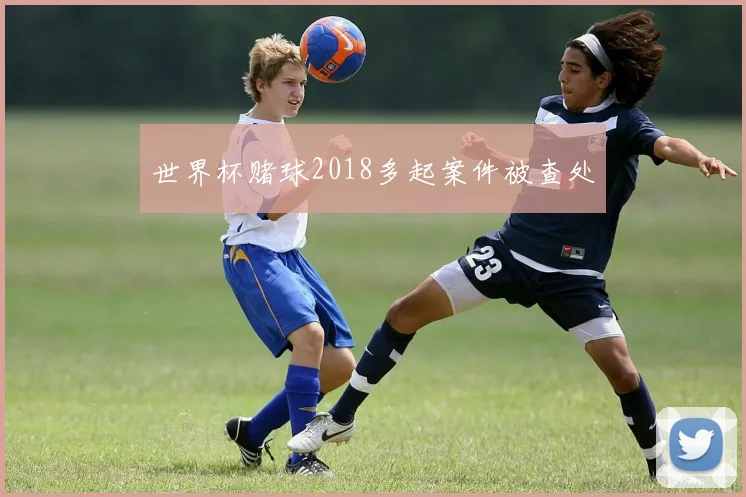 世界杯赌球2018多起案件被查处