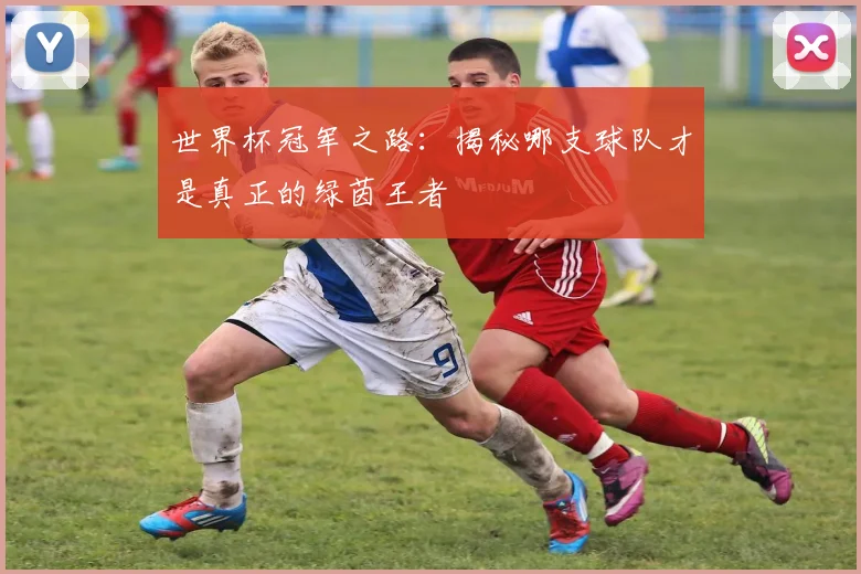 世界杯冠军之路:揭秘哪支球队才是真正的绿茵王者