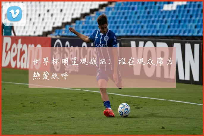 世界杯明星观战记：谁在观众席为热爱欢呼