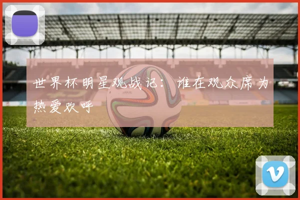 世界杯明星观战记：谁在观众席为热爱欢呼