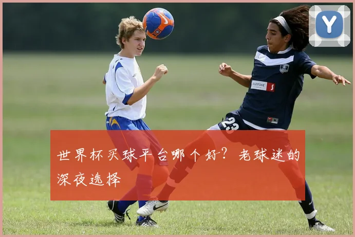 世界杯买球平台哪个好?老球迷的深夜选择
