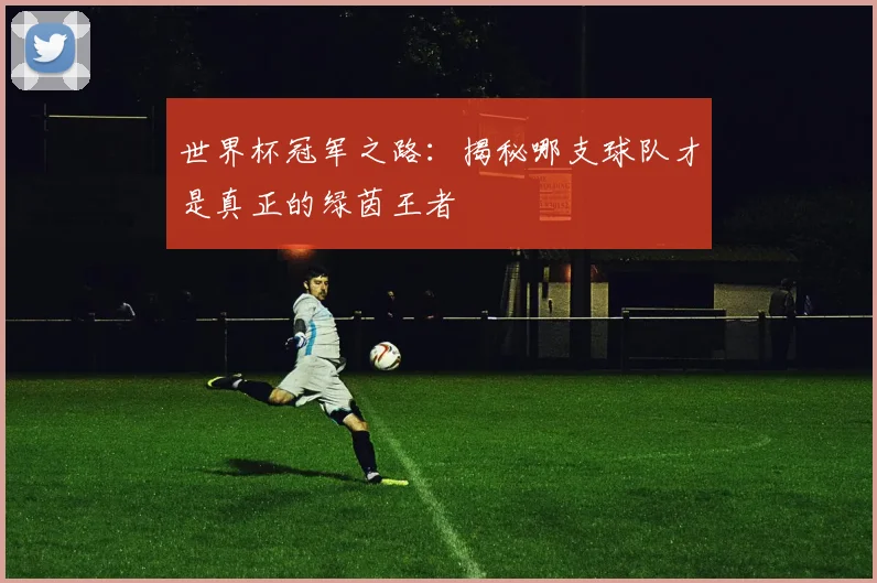 世界杯冠军之路:揭秘哪支球队才是真正的绿茵王者
