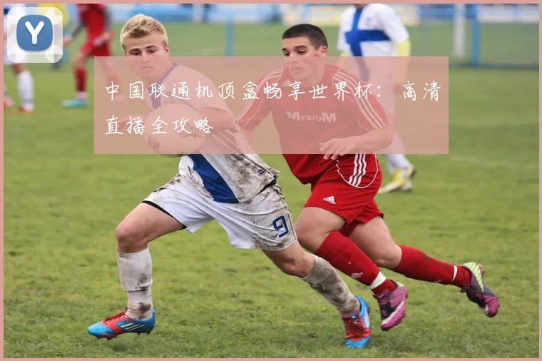 中国联通机顶盒畅享世界杯：高清直播全攻略