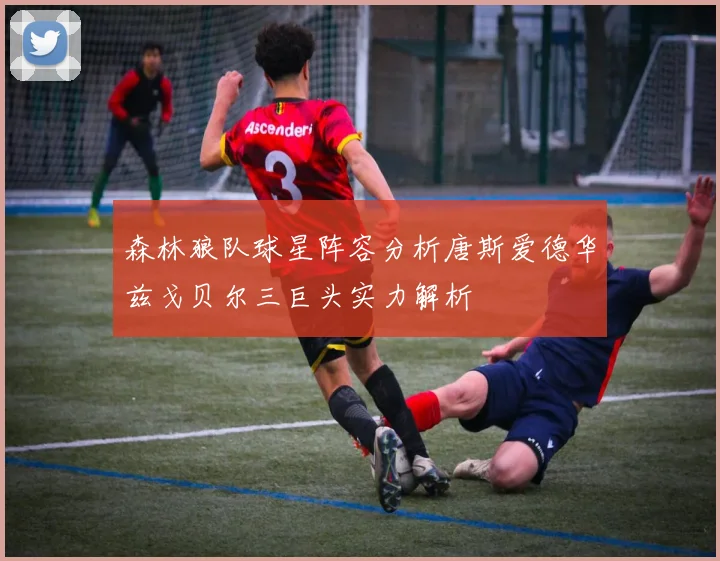森林狼队球星阵容分析唐斯爱德华兹戈贝尔三巨头实力解析
