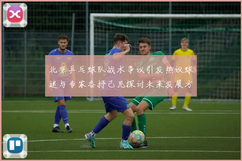 北京乒乓球队战术争议引发热议球迷与专家各抒己见探讨未来发展方向