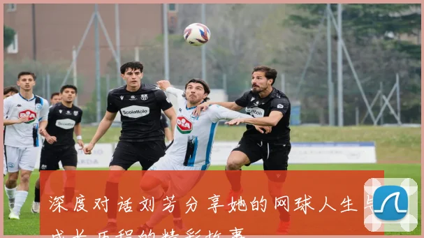 深度对话刘芳分享她的网球人生与成长历程的精彩故事