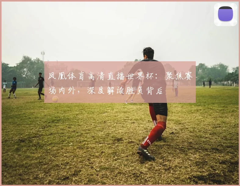 凤凰体育高清直播世界杯:聚焦赛场内外,深度解读胜负背后