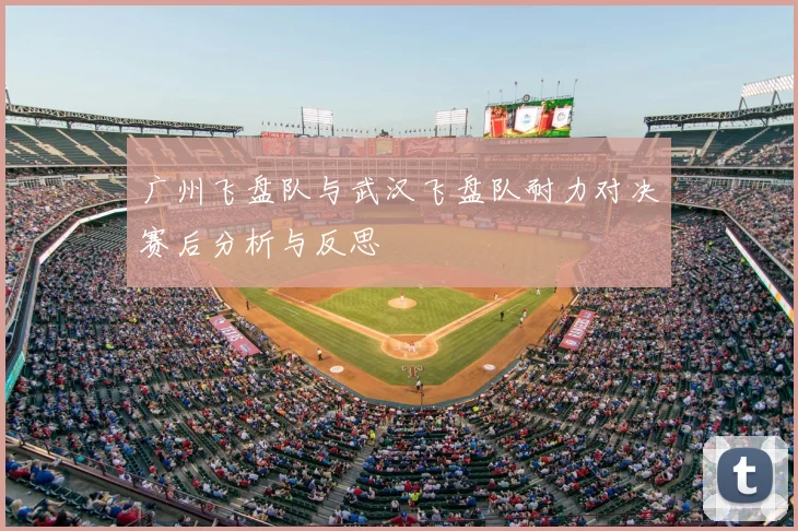 广州飞盘队与武汉飞盘队耐力对决赛后分析与反思